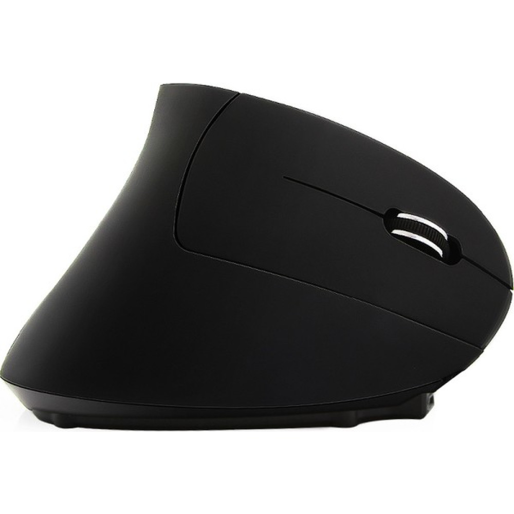 Cloody Dikey Ergonomik Kablosuz Mouse (Pilli) - Siyah Klavye - Mouse Fiyatı