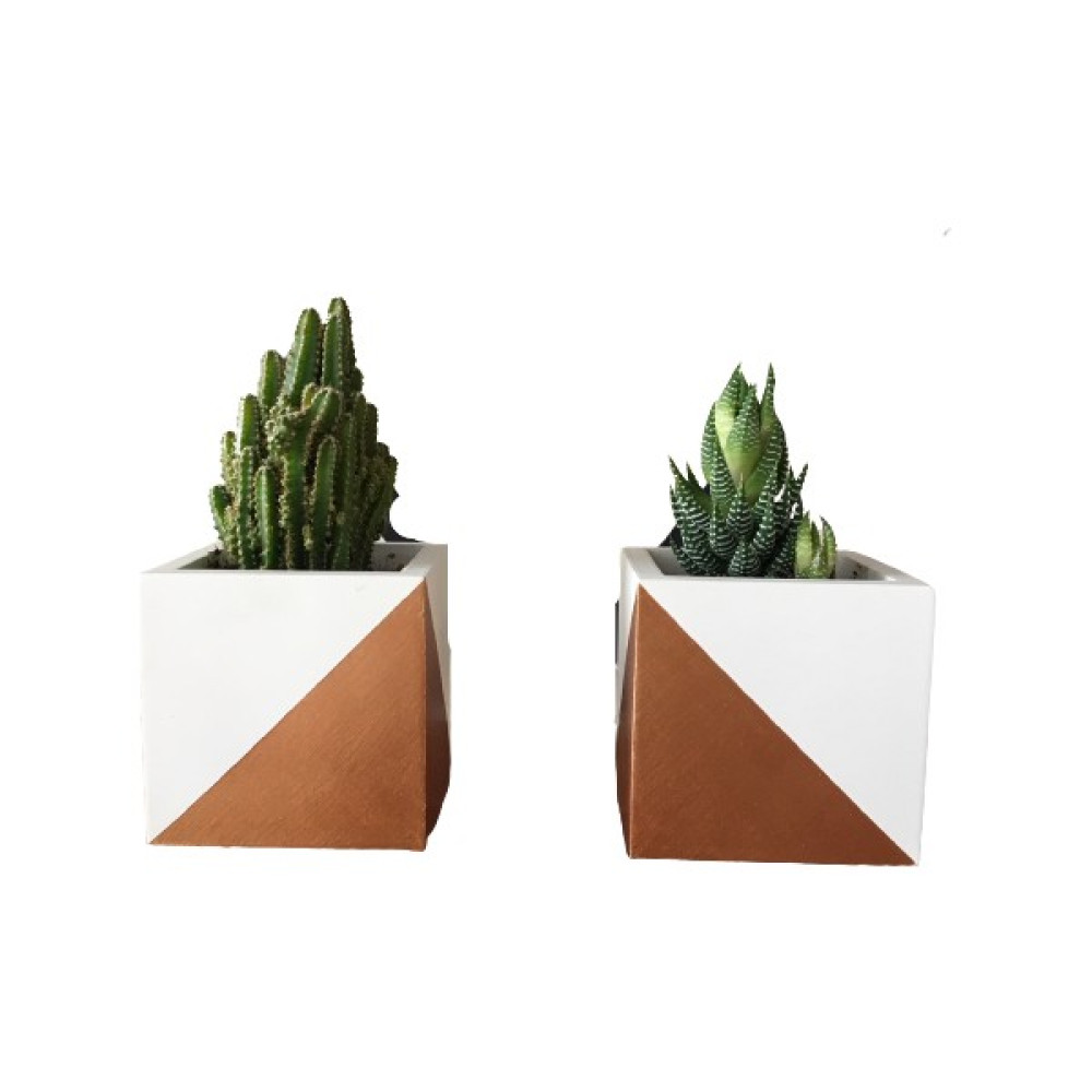 CM Home 2'li Orta Boy Kare Model Beyaz-Bronz Beton Saksı (ÇİÇEKSİZ)10CM Saksı ve Aksesuarları Fiyatı