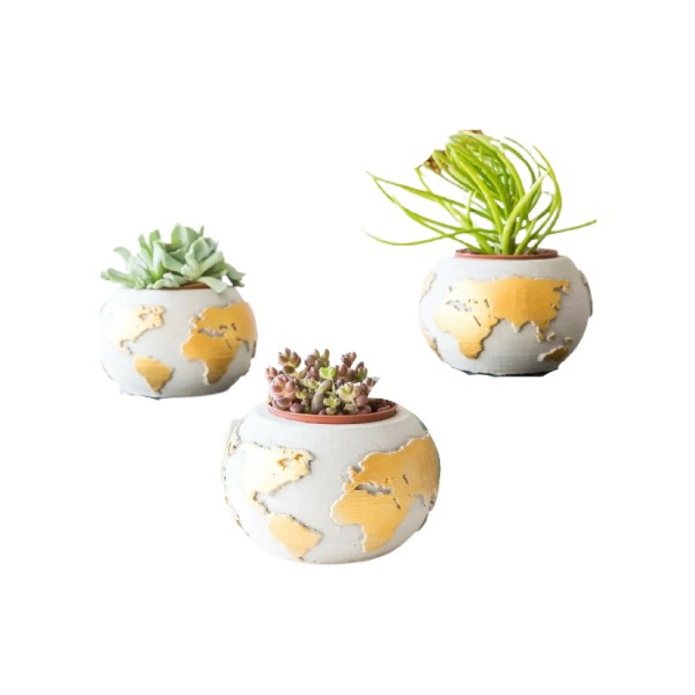CM Home Cmhome 3'lü World Model Gold Boyalı Mini Boy Beton Sukulent Kaktüs Saksısı (Çiçekler Dahildegildir) Saksı ve Aksesuarları Fiyatı