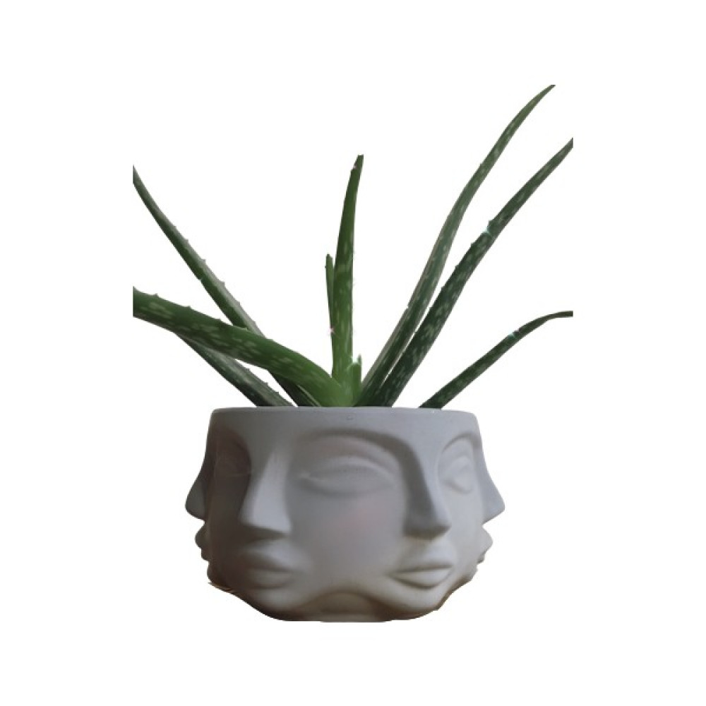 CM Home Cmhome Havelka Büyük Boy Ham Beton Saksı (Çiçek ve Ahşap Altlık Dahil Değildir) 12CM-17CM Saksı ve Aksesuarları Fiyatı