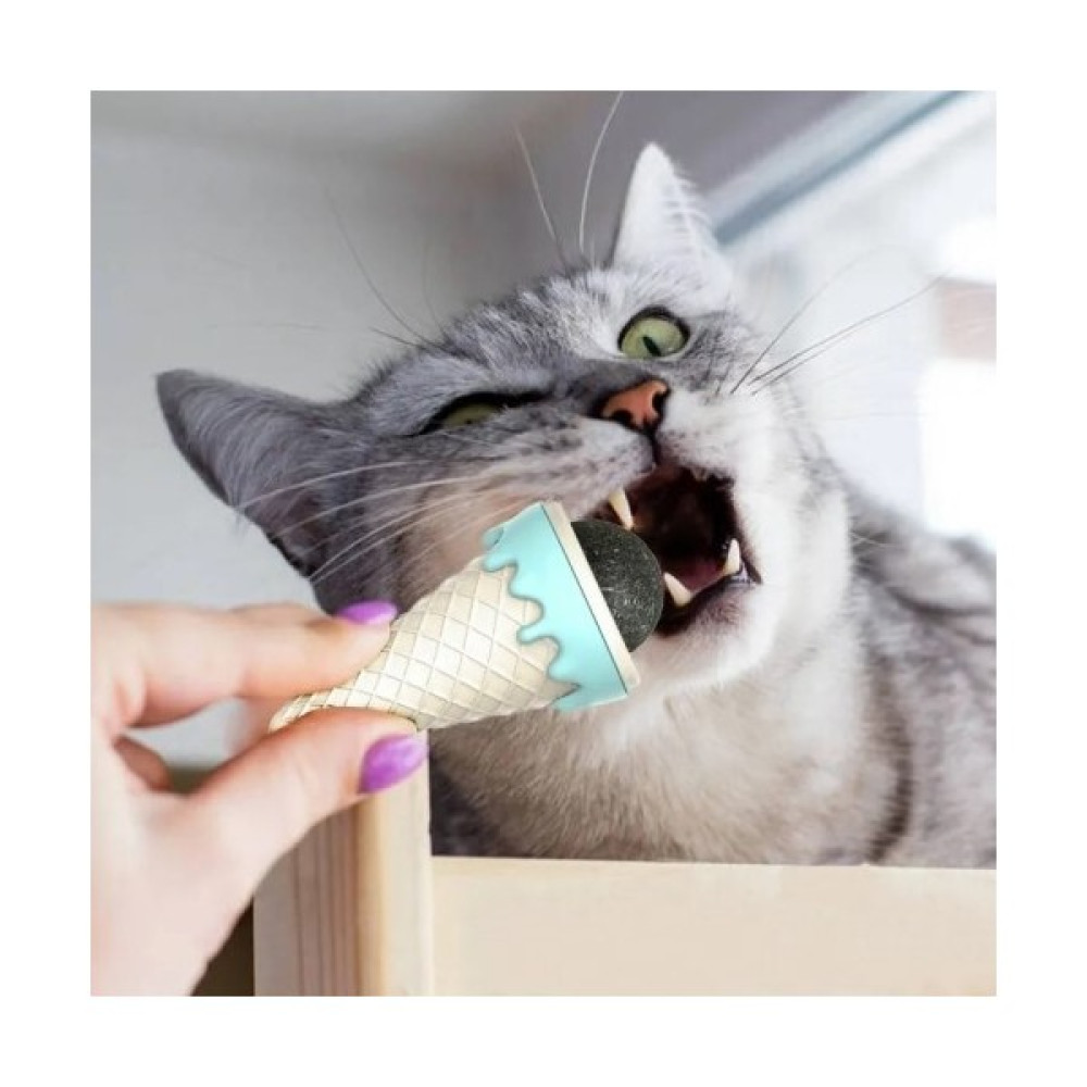 Cngzhn Dondurma Şeklinde Kedi Nanesi Kedi Otu Evcil Hayvan Ürünleri Fiyatı