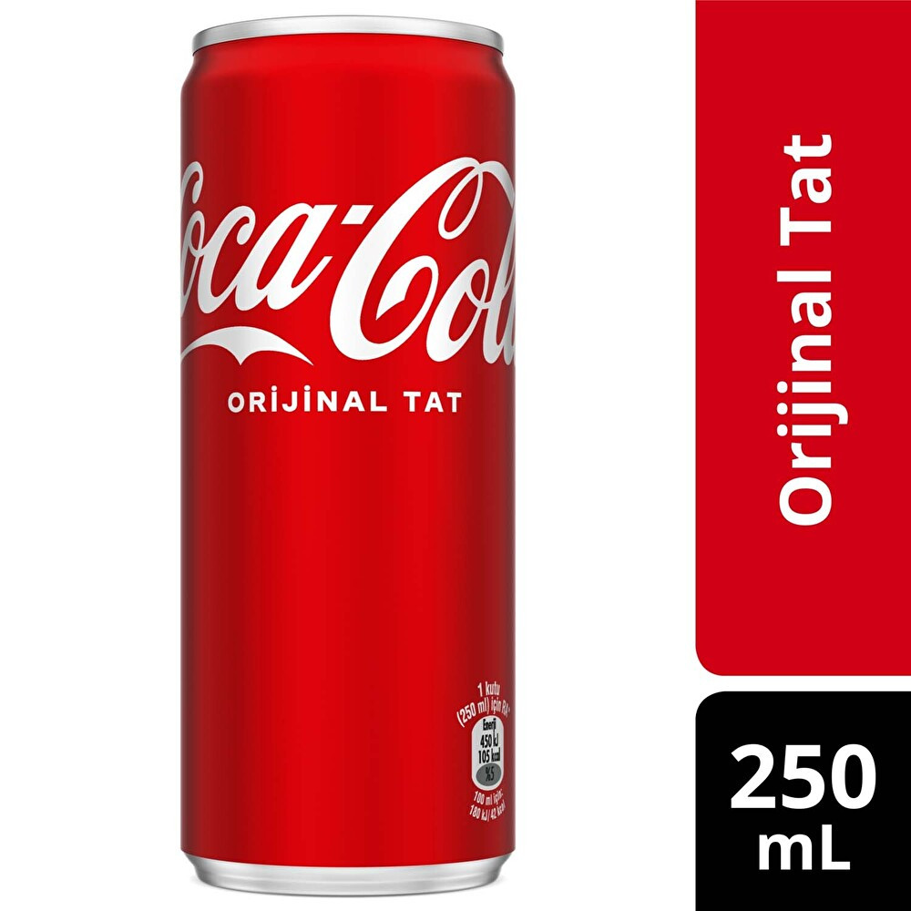 Coca-Cola 250 ml Kutu Gazlı İçecek Fiyatı