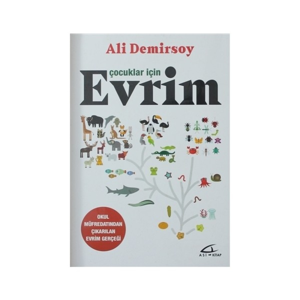 Çocuklar için Evrim Bilim & Teknik Fiyatı