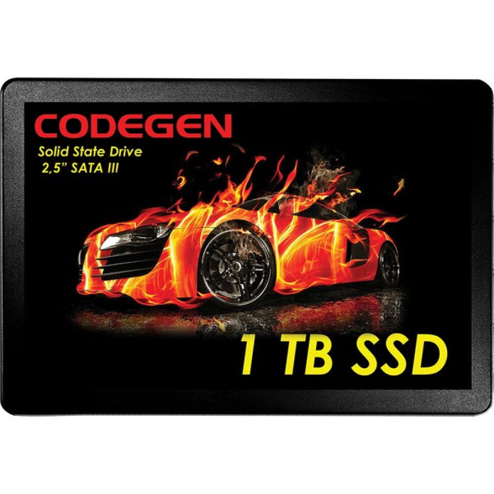 Codegen 1tb  500MB-450MB/S 2.5" Sata 3 SSD (CDG-1TB-SSD25) SSD / Solid State Drive Fiyatı
