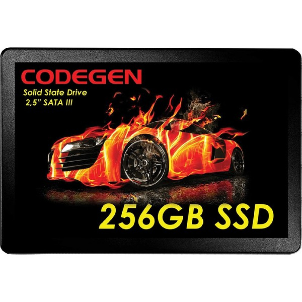 Codegen 256GB 2.5" Sata3 SSD 500/450 (CDG-256GB-SSD25) SSD Disk SSD / Solid State Drive Fiyatı