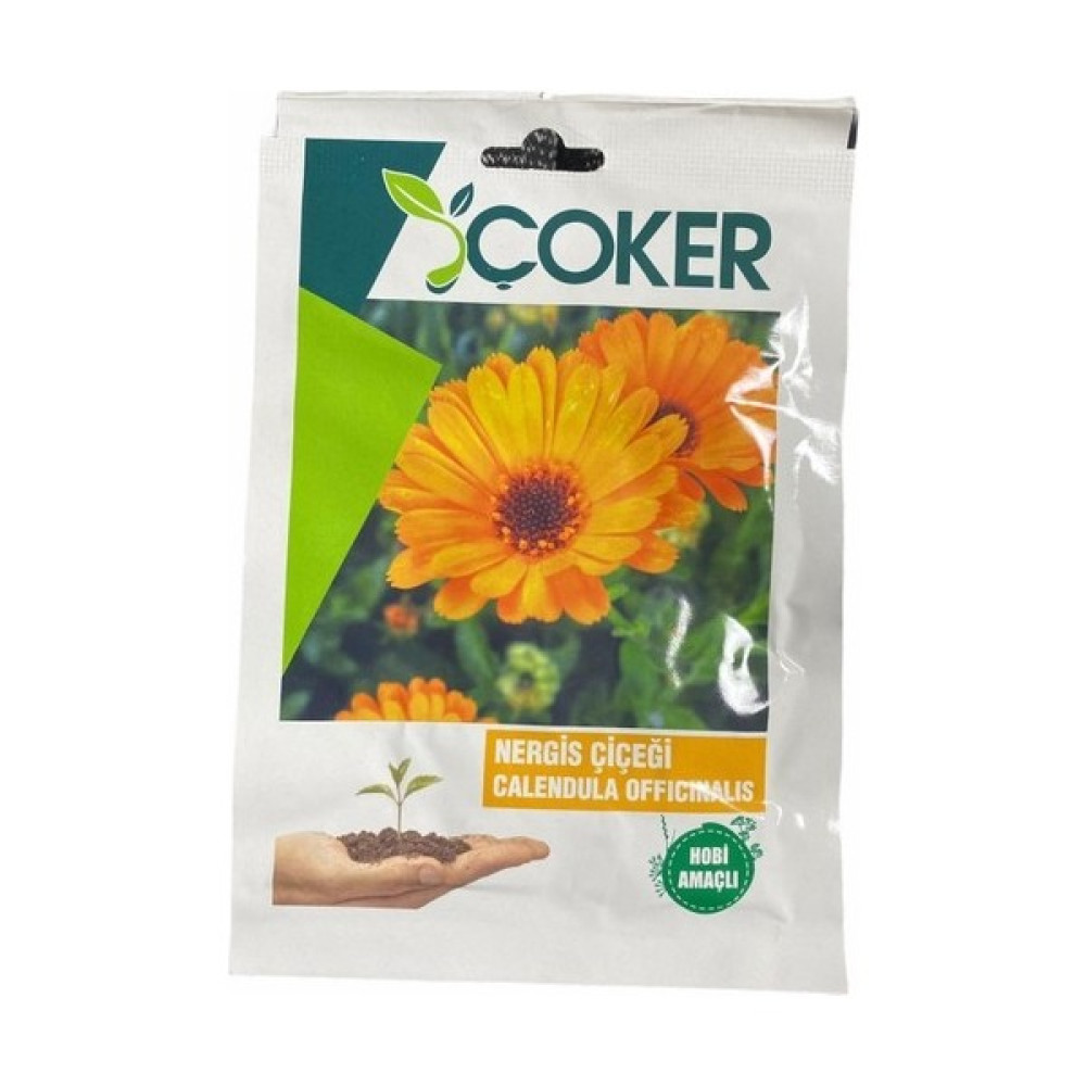Çoker Nergis Çiçeği Çiçek Tohumu - 400 gr Tohum Fiyatı