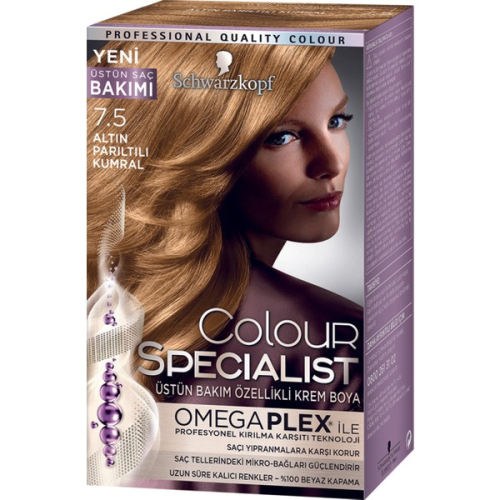 Colour Specialist Altın Parıltılı Kumral 7.5 Oto Boyaları Fiyatı