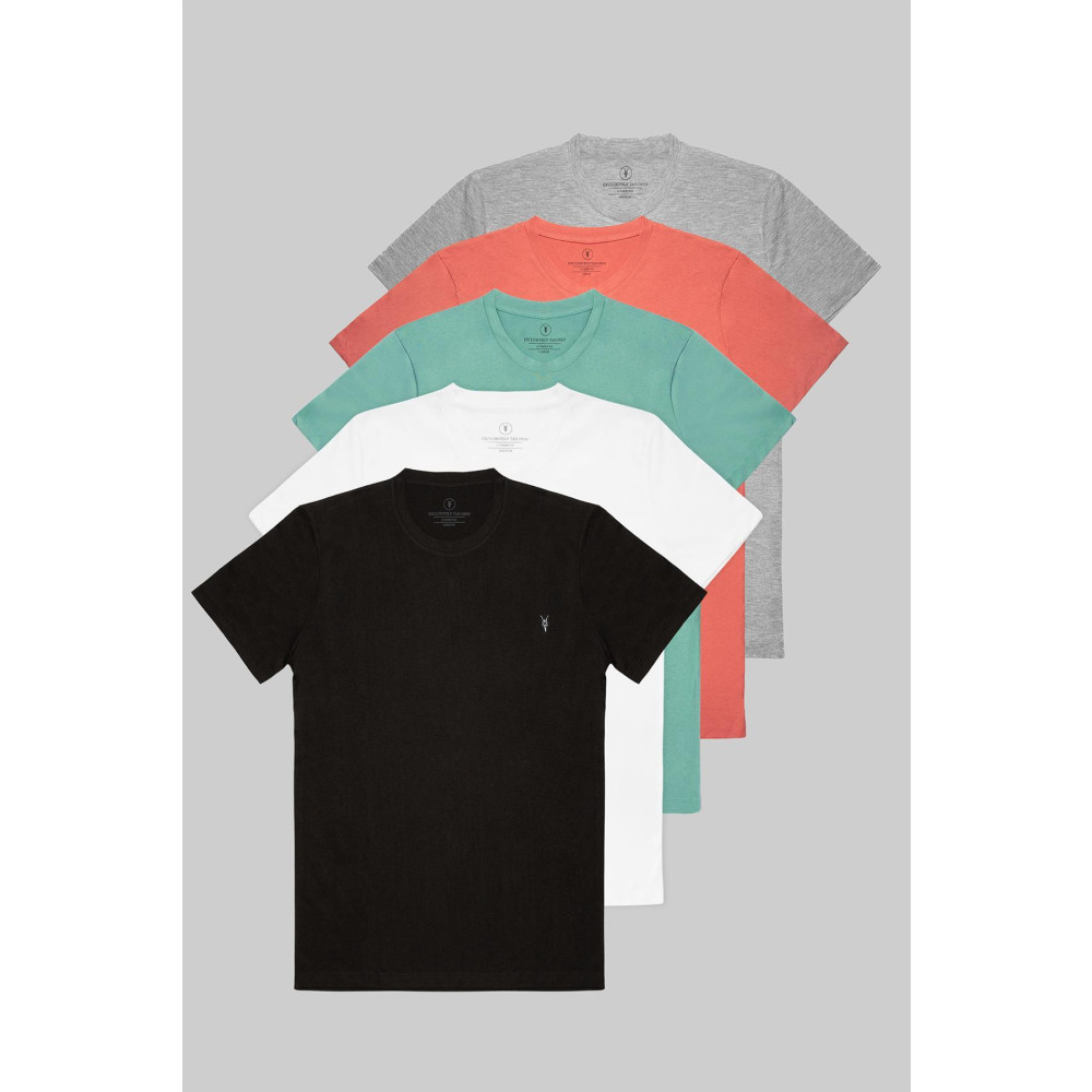 COMBİNE MİCHAİL Standart Kalıp Basic 5li Paket T-shirt L Beden Bayan T-shirt Fiyatı