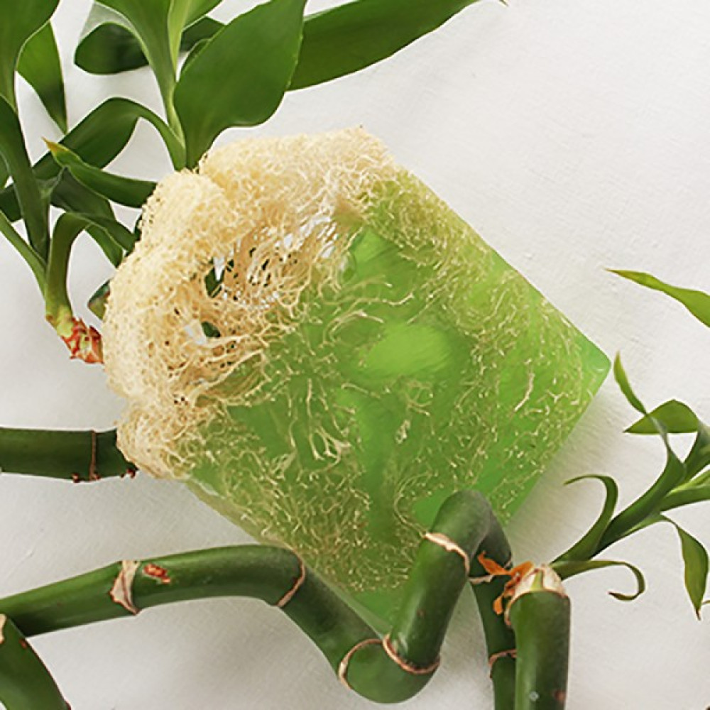 Comes Cosmetic Doğal Kabak Lifli Argan Sabunu Oto Boyaları Fiyatı