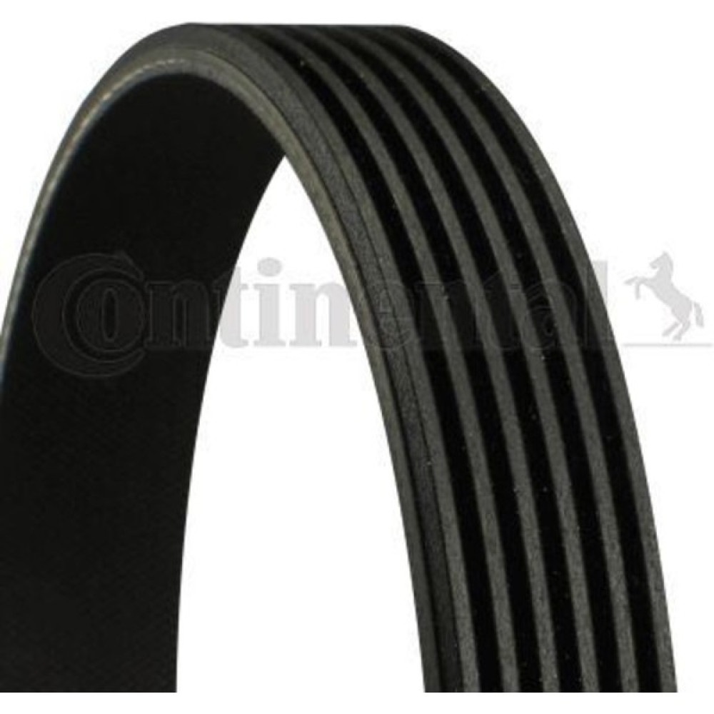 Contıtech 6PK1080 6PK1080 V Kayışı 306 405 / Polo 1.4 16V Ac Oto Dış Aksesuar & Yedek Parça Fiyatı