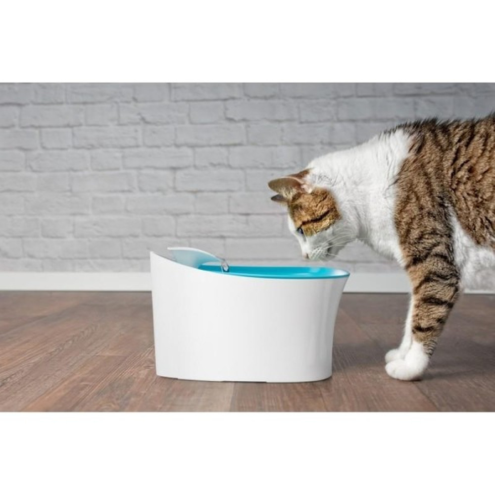 Coofbe Otomatik Akıllı 2.5lt Kedi Su Pınarı Kedi Su Sepili Kabı Kedi ve Köpekler Için Su Pınarı Evcil Hayvan Ürünleri Fiyatı