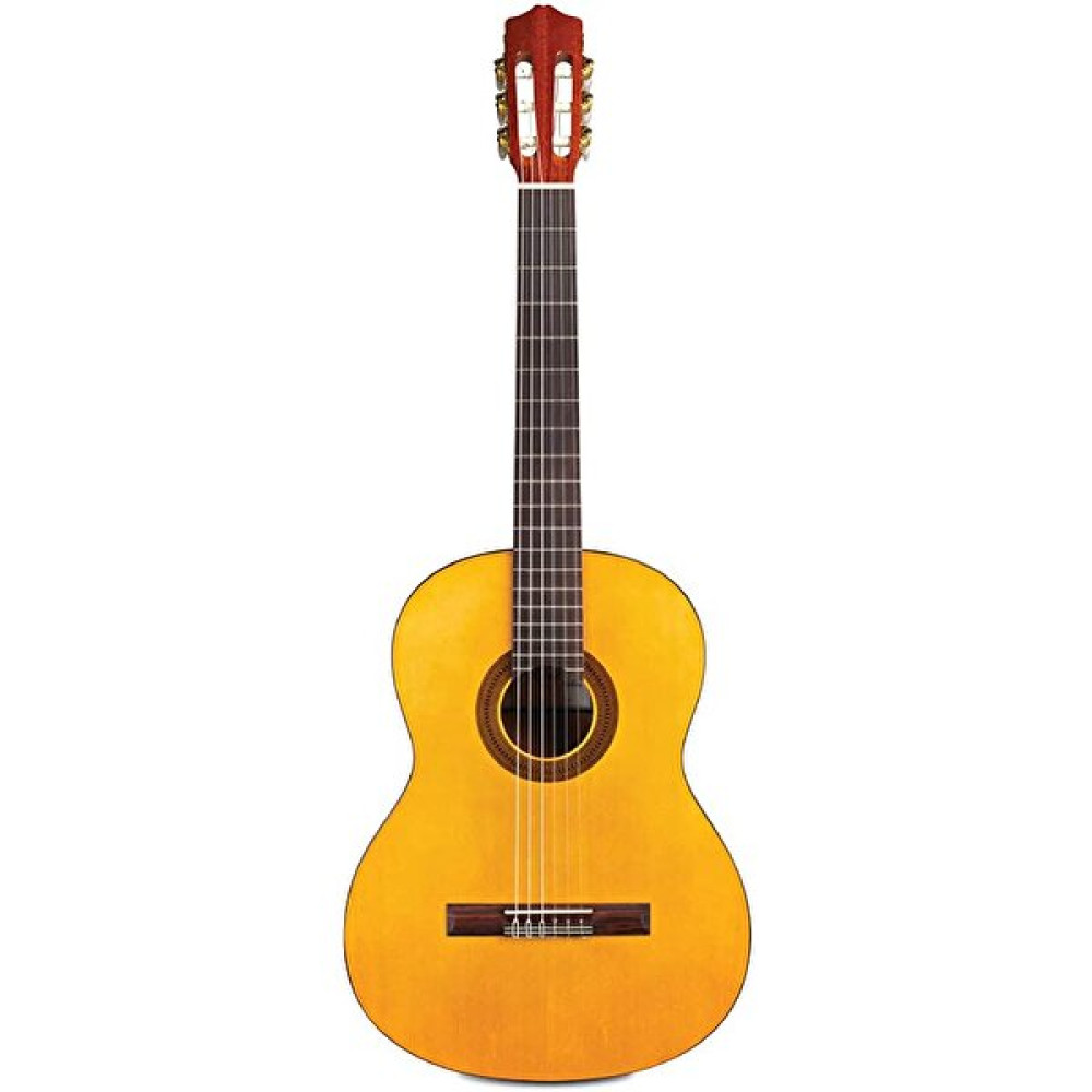 Cordoba Protege C1 Klasik Gitar Klasik Gitarlar Fiyatı