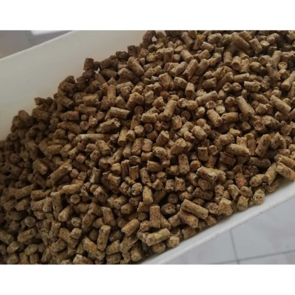 CP Yem 20 kg Tavuk Yumurta Yemi Pelet Yem Yumurta Verimini Artıran Pelet Gezen Tavuk Yemi Evcil Hayvan Ürünleri Fiyatı