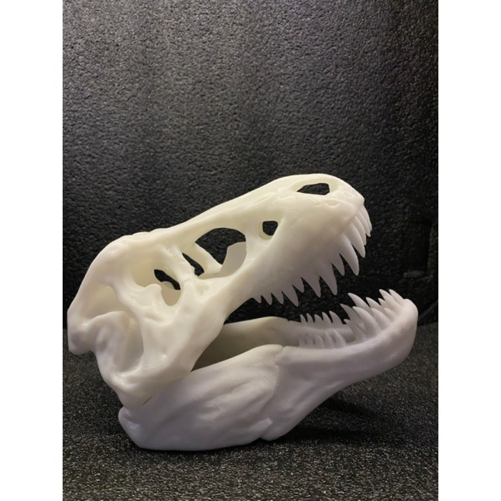 Crealityverse T-Rex Kafatası Maket Fiyatı