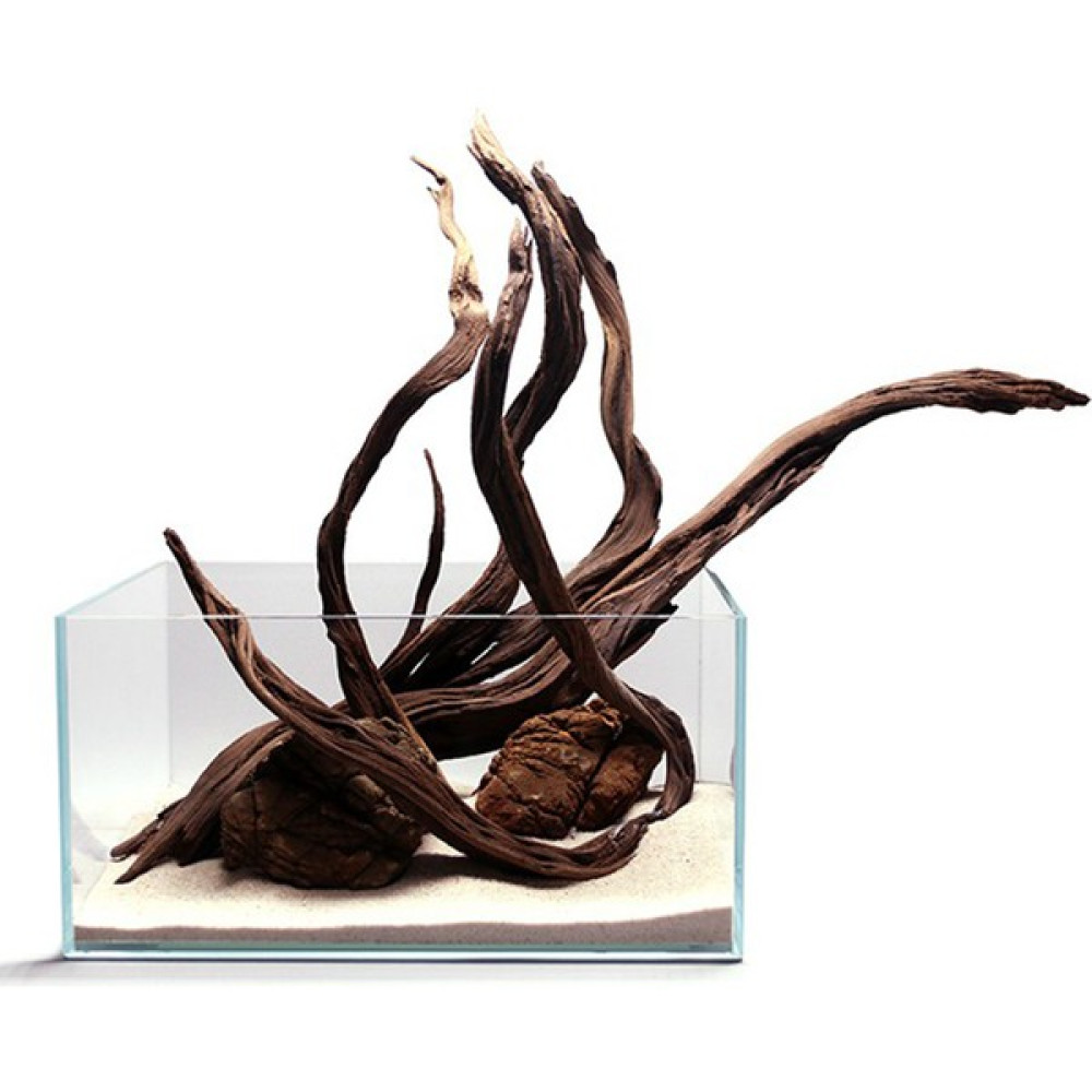 Creaqua Black Flame 1 kg Evcil Hayvan Ürünleri Fiyatı