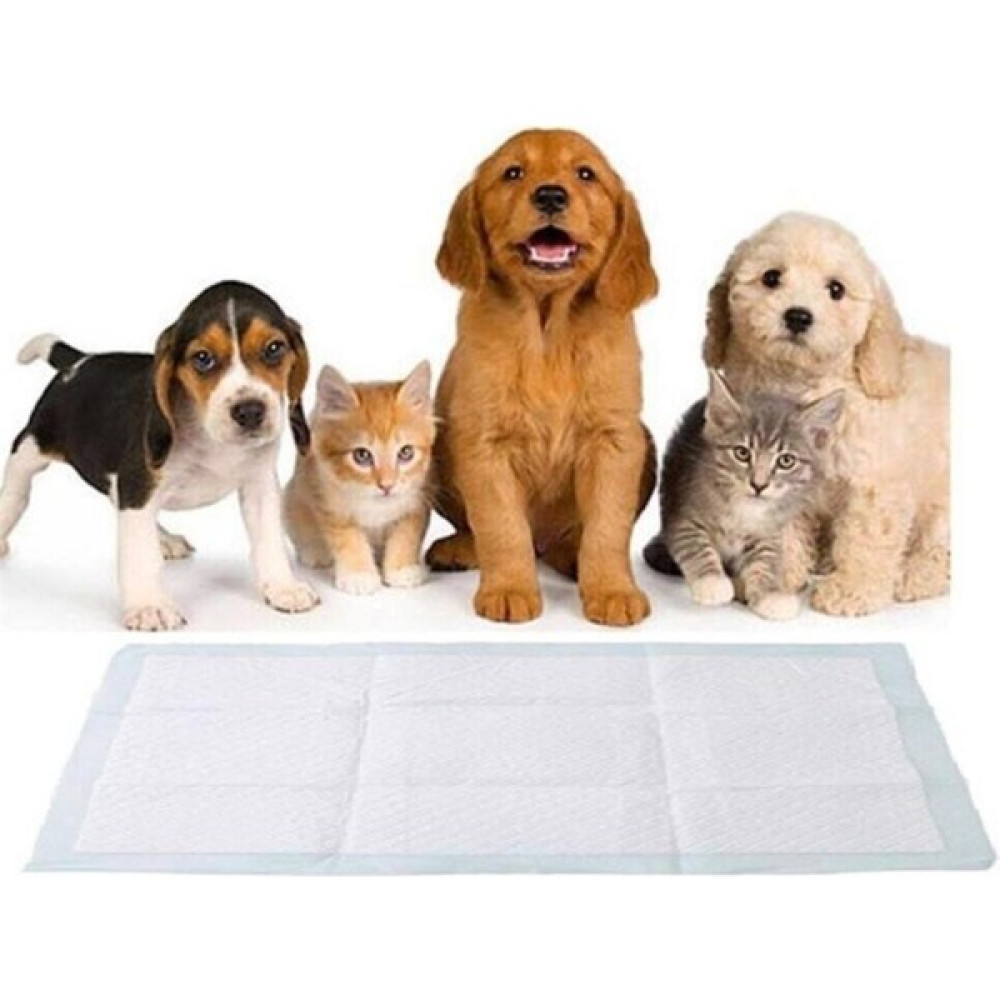 CSR 60X90 cm Kedi Köpek Çiş Pedi Evcil Hayvan Ürünleri Fiyatı