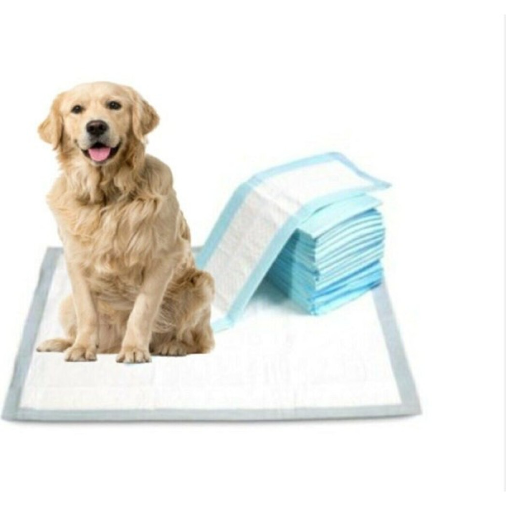 CSR Kedi Köpek Çiş Pedi 60X90 30 Lu Paket Serme Örtü Evcil Hayvan Ürünleri Fiyatı