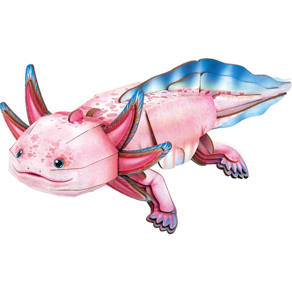 Cubic Fun National Geographic - Axolotl 3D Puzzle DS1185H Anne Bebek Oyuncak Fiyatı
