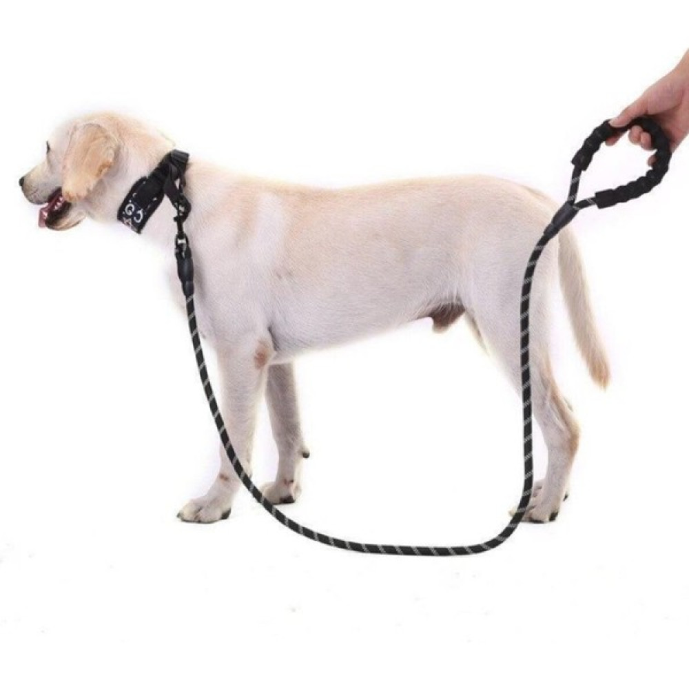 Daha Yok mu Köpekler Için Gezdirme Tasması Reflektörlü 130 cm Halat Orta ve Büyük Boy Köpekler Için Siyah Evcil Hayvan Ürünleri Fiyatı