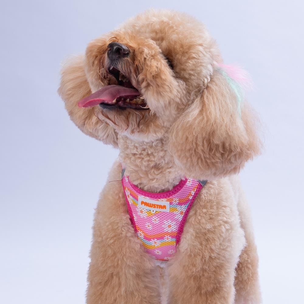 Daisy Air-Mesh Göğüs Tasması Kedi Köpek Göğüs Tasması Papatya Desenli Köpek Tasması - 2XS - Pembe Evcil Hayvan Ürünleri Fiyatı