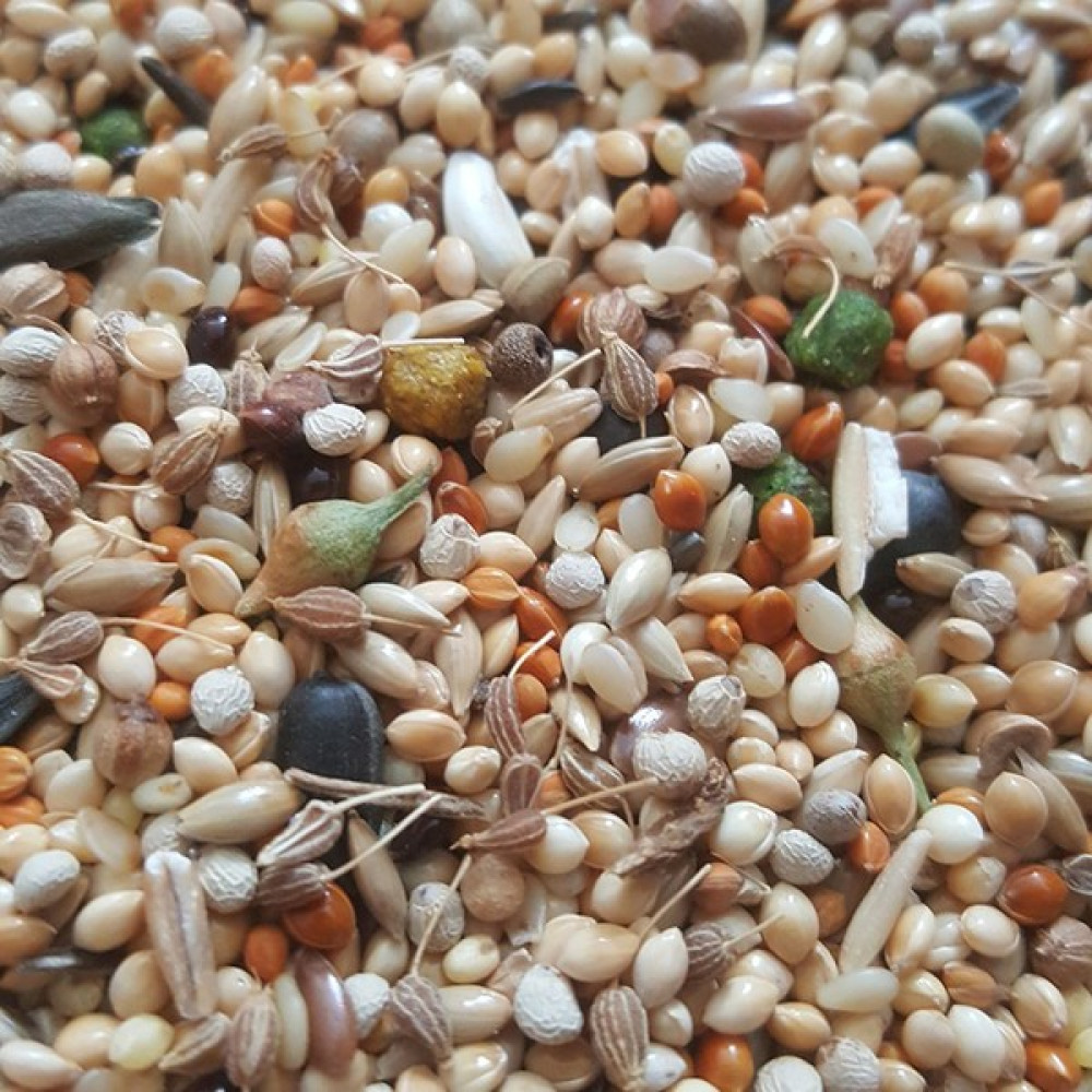 Dal Darı Net Sultan Cennet ve Sevda Papağanı Yemi 500 gr Evcil Hayvan Ürünleri Fiyatı