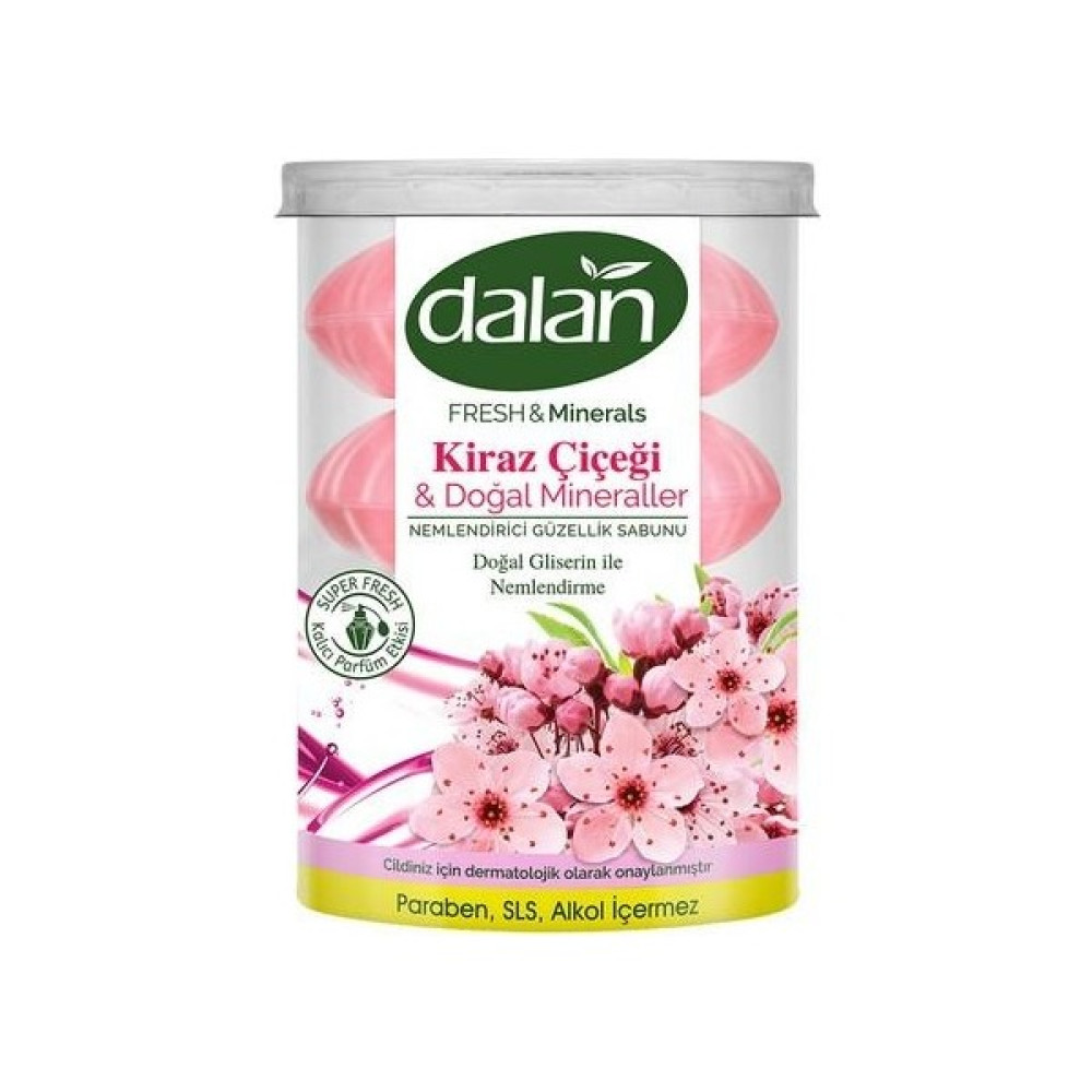 Dalan Kiraz Çiçeği Doğal Minareler 4 x 110 gr Paket Oto Boyaları Fiyatı