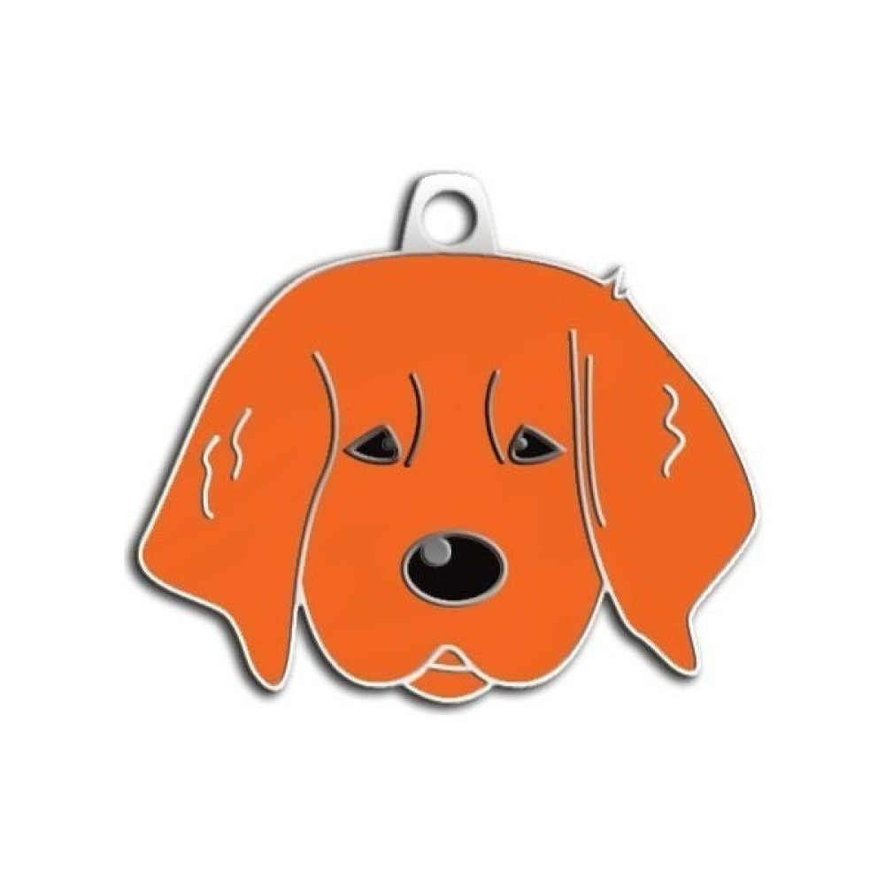 Dali's Yavru Golden Köpek Künyesi (Kizil) - Bordo Evcil Hayvan Ürünleri Fiyatı