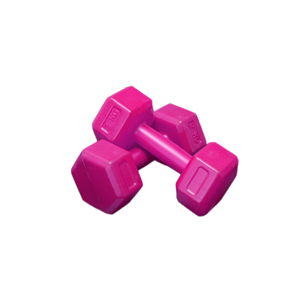 Dambılcım PEMBE 2 KG x 2 Adet Toplam 4 KG Dambıl Seti 4 KG Dumbell Set Dambıllar & El / Ayak Ağırlıkları Fiyatı