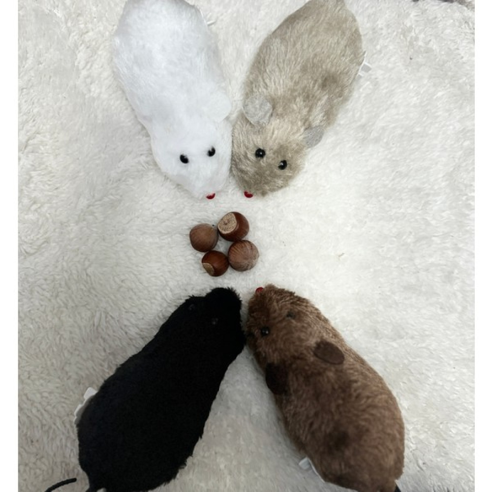 Darvinin Dükkanı Kurmalı Peluş Fare Kedi Eğitim Oyuncağı - Darvinin Dükkanı - Beyaz Evcil Hayvan Ürünleri Fiyatı