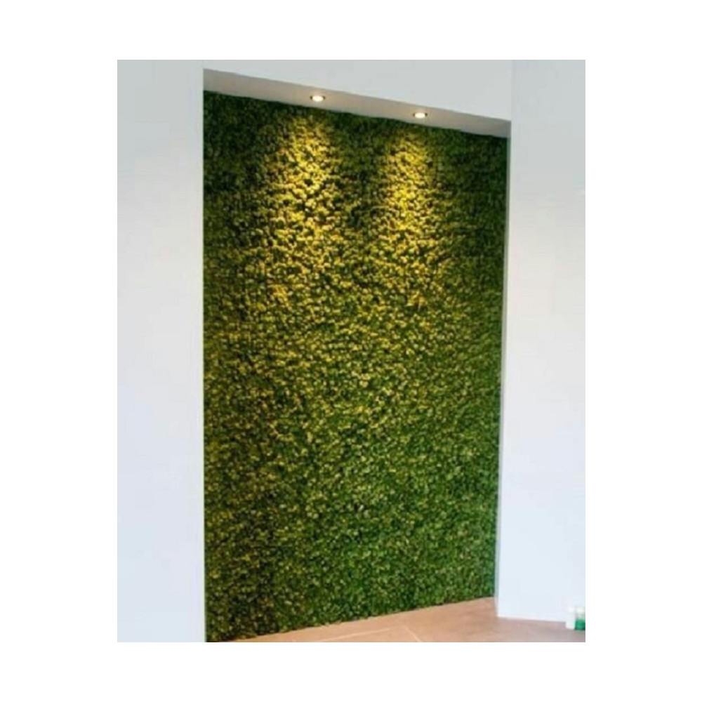 DDTREND Dekoratif Yapay Bitki Duvar Kaplama Panel Şimşir Tabaka 40x60 cm Yeşil Dikey Bahçe Ev & Dekorasyon Aksesuarları Fiyatı