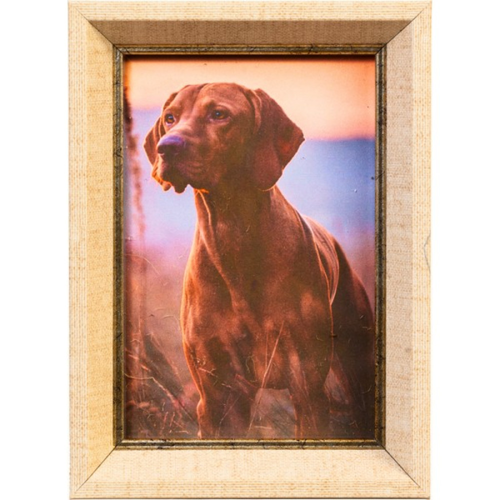 DecoLife Fotoğraf Çerçevesi, Resim Çerçevesi, Derin Çerçeve, Bej - 13 X 18 Resim & Fotoğraf Çerçevesi Fiyatı