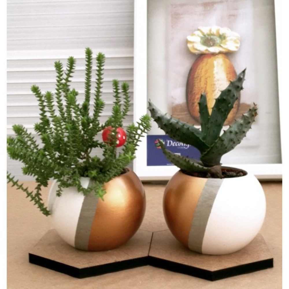 Decolight 2'li Beyaz - Bronz Silindir Model Beton Saksı (Çiçeksiz) Saksı ve Aksesuarları Fiyatı