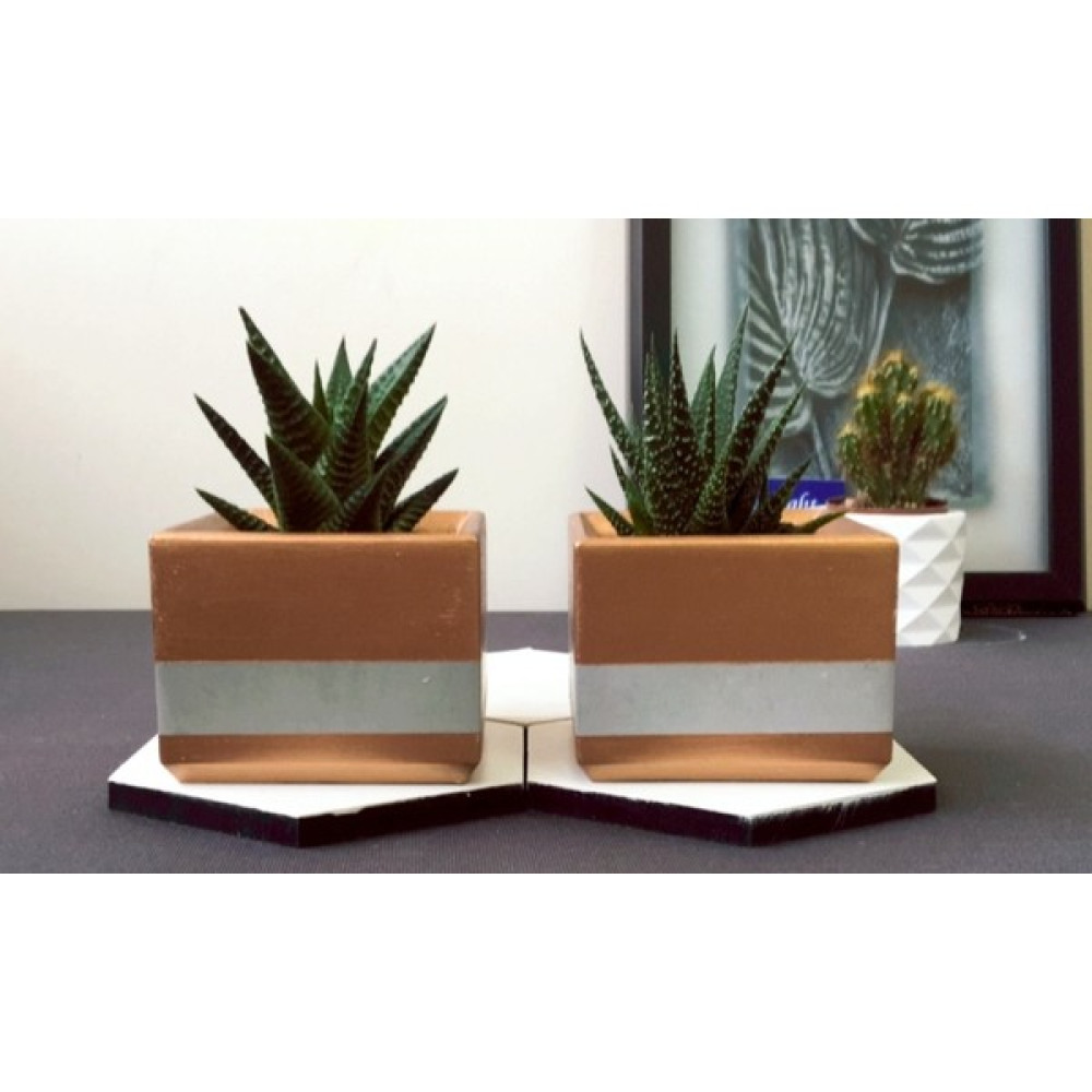 Decolight 2'li Bronz - Gri Kare Beton Saksı (Çiçeksiz) Oto Boyaları Fiyatı