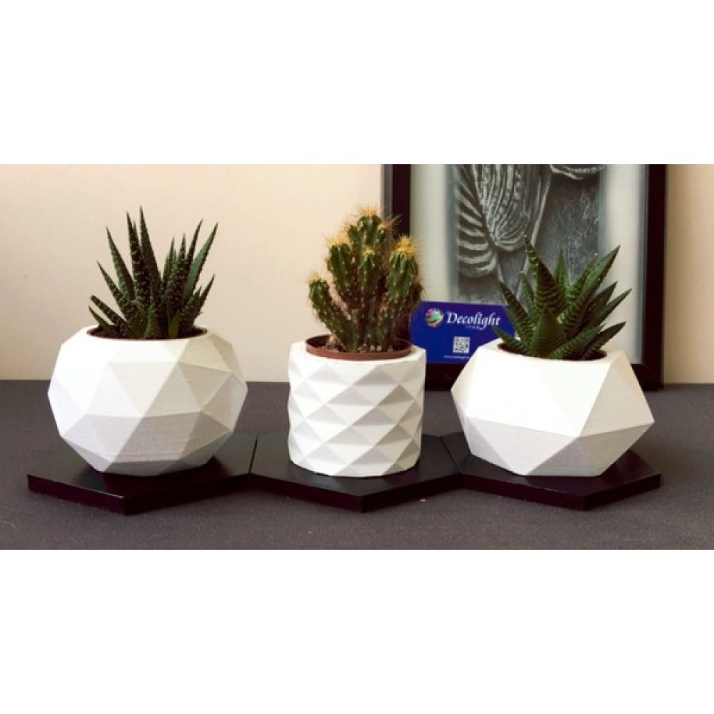 Decolight 3'lü Beyaz Beton Saksı ve Ahşap Altlık (Çiçeksiz) Saksı ve Aksesuarları Fiyatı
