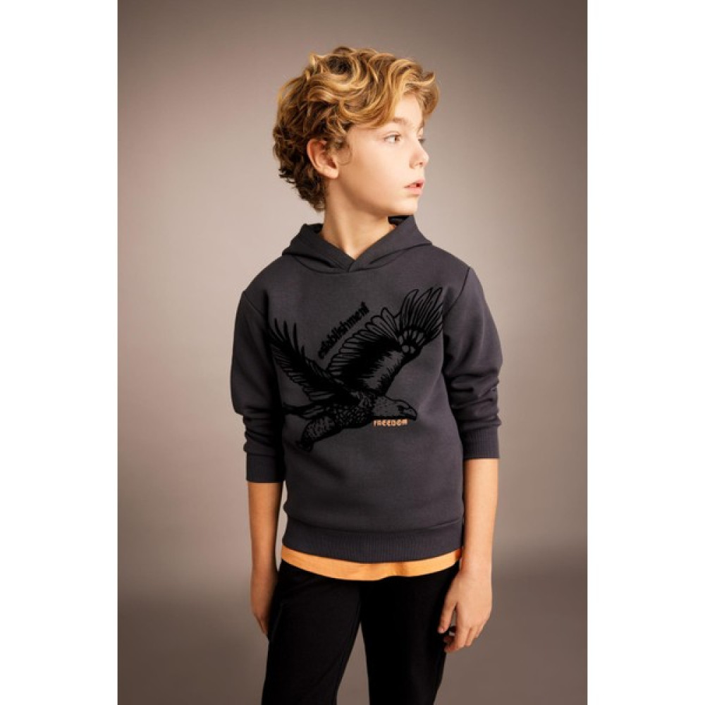 DeFacto Erkek Çocuk Baskılı Kapüşonlu Kalın Sweatshirt B6316A823CW Erkek Çocuk Sweatshirt Fiyatı