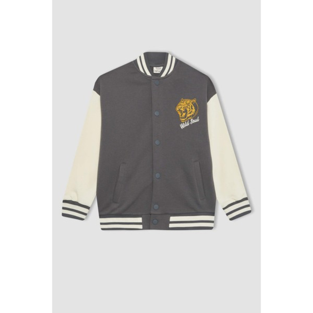 DeFacto Erkek Çocuk Bomber Yaka Baskılı Kolej Hırka B6419A824SP Erkek Çocuk Kazak & Süveter & Triko Fiyatı
