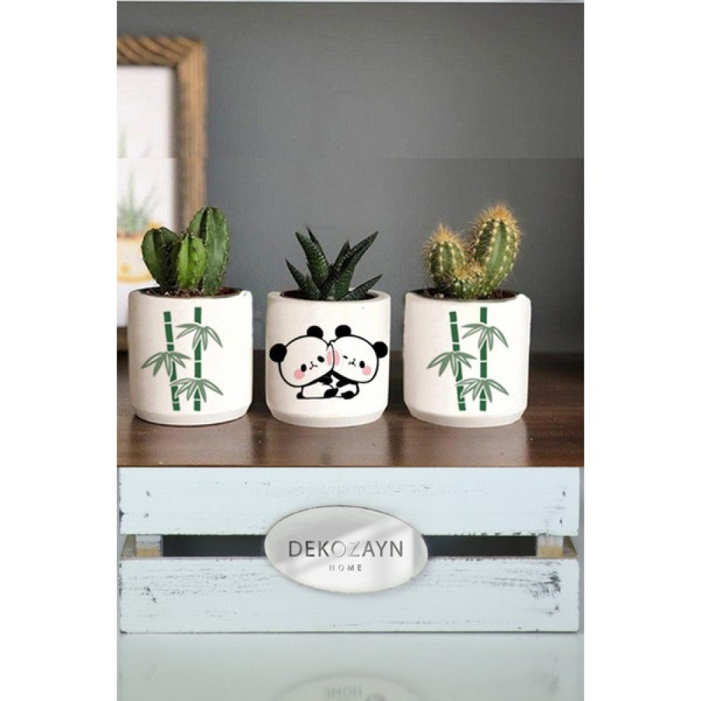 Dekozayn Home Bambu Panda Desenli Beton Saksı Üçlü Set- Küçük Boy Sukulent Saksısı Çizim Hediyelik - Yeşil - Beyaz Saksı ve Aksesuarları Fiyatı