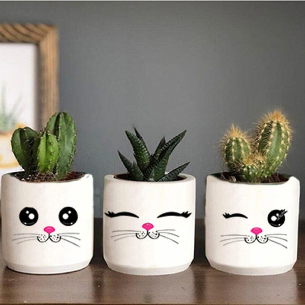 Dekozayn Home Kedi Yüzü Desenli Beton Saksı Üçlü Set- Küçük Boy Sukulent Saksısı Çizim Kedicik Hediyelik - Beyaz Saksı ve Aksesuarları Fiyatı