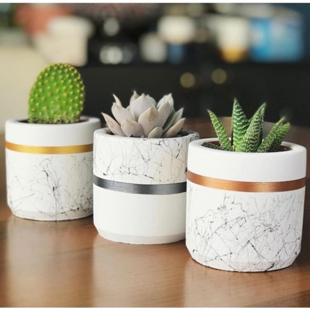 Dekozayn Home Mermer Desen Silindir,geometrik Beton Saksılık Kaktüs ve Sukulentlik 3'lü Set - Bronz Saksı ve Aksesuarları Fiyatı