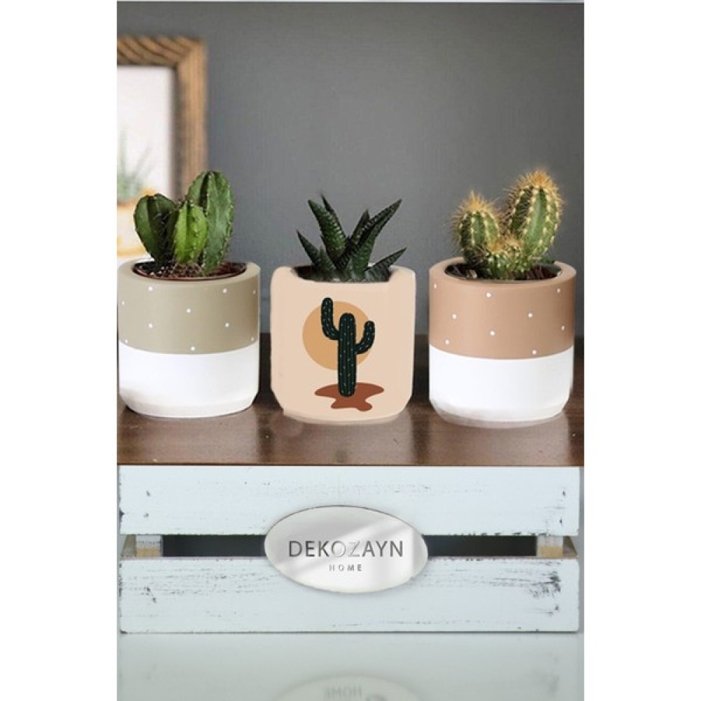 Dekozayn Home Modern Kaktüs Pastel Renkli Sukulent ve Kaktüs Saksısı Saksı ve Aksesuarları Fiyatı