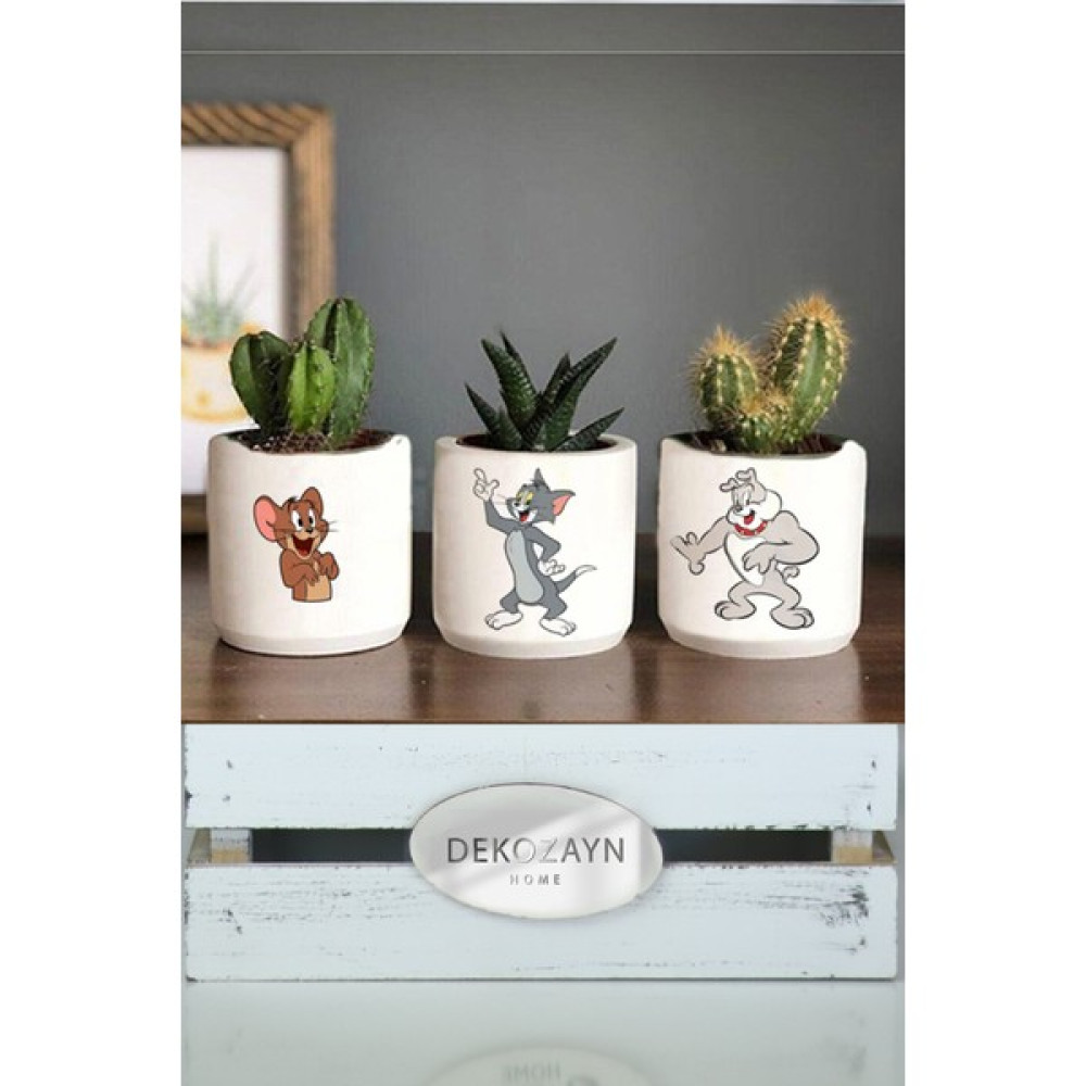 Dekozayn Home Modern Tom ve Jerry El Çizimi Renkli Sukulent ve Kaktüs Saksısı Saksı ve Aksesuarları Fiyatı