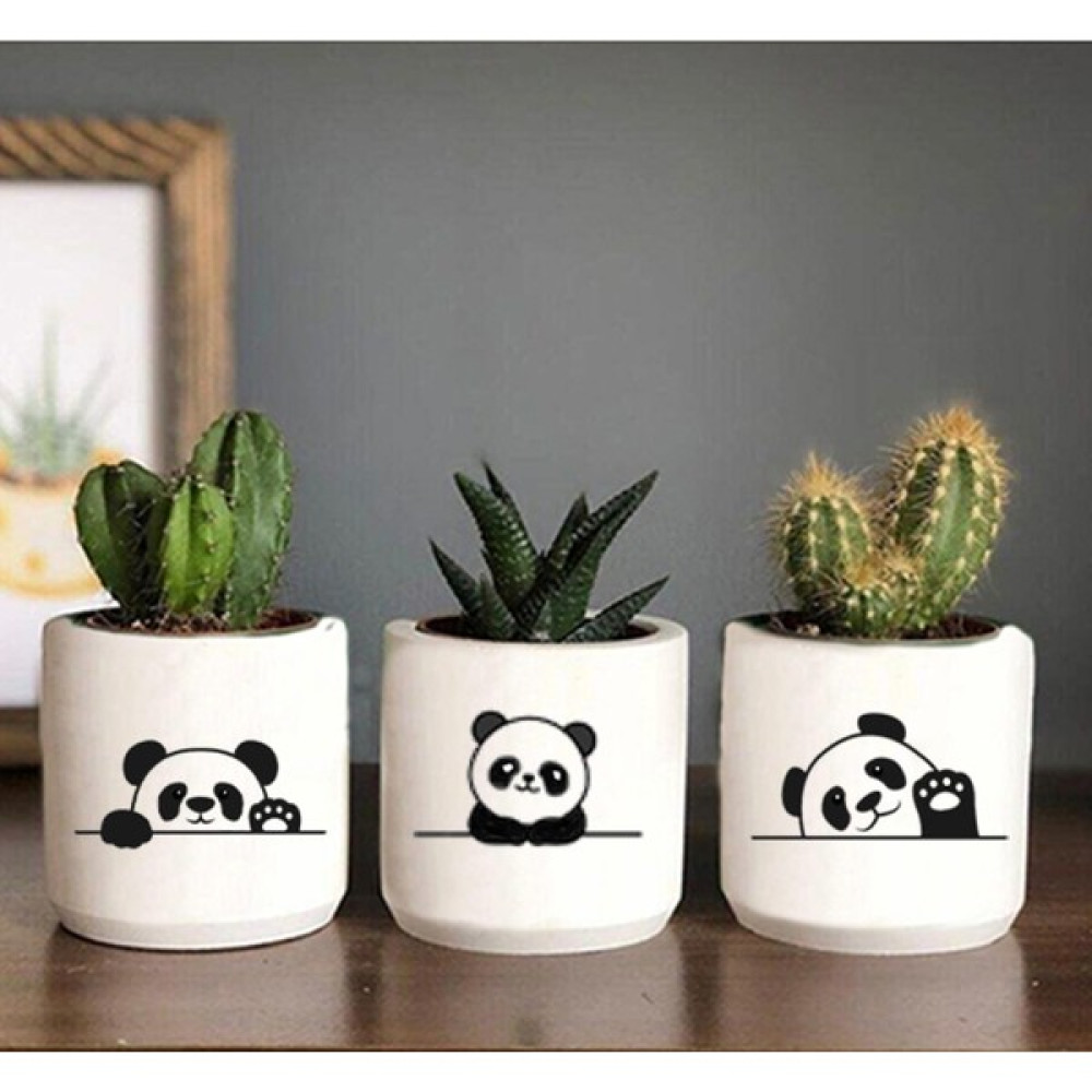Dekozayn Home Panda Desenli Saksı Sukulent ve Kaktüs Saksısı Pandacık - Siyah Saksı ve Aksesuarları Fiyatı