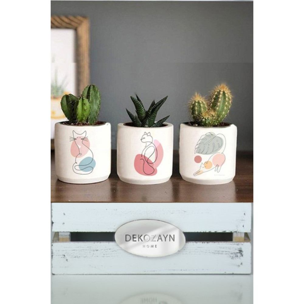 Dekozayn Home Pastel Kedi Kedi Desenli Beton Saksı Üçlü Set- Küçük Boy Sukulent Saksısı Çizim Hediyelik Kalemlik Saksı ve Aksesuarları Fiyatı