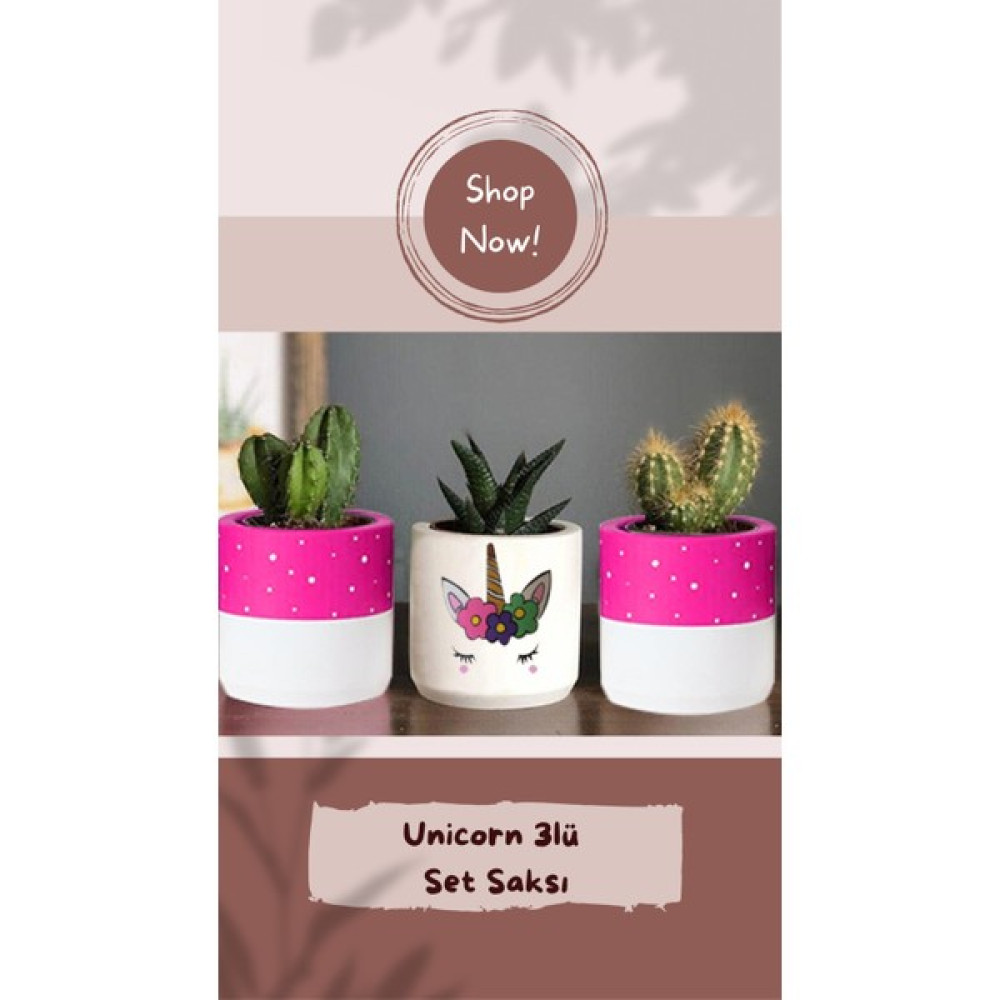Dekozayn Home Unicorn Desenli Beton Saksı Üçlü Set- Küçük Boy Sukulent Saksısı Çizim Unicorn Kalemlik - Pembe Saksı ve Aksesuarları Fiyatı