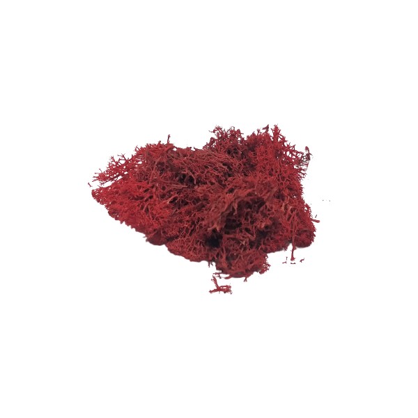 Del Rey Maket Yosun Kırmızı 10'gr Diğer Fiyatı