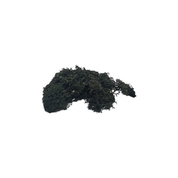 Del Rey Maket Yosun Koyu Yeşil 10'gr Diğer Fiyatı