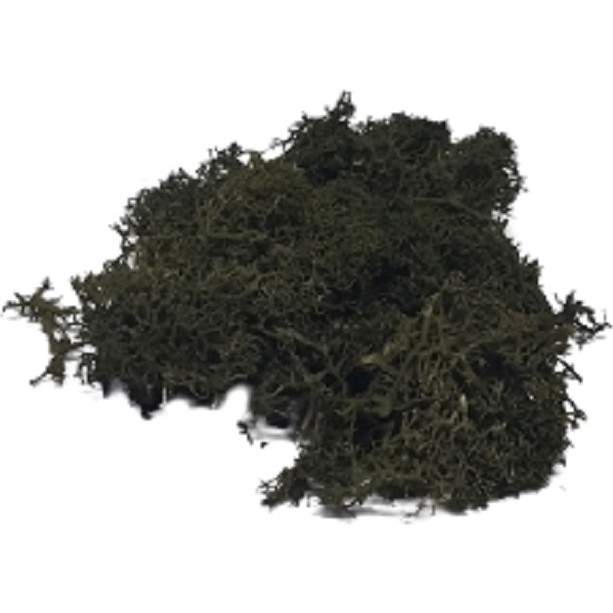 Del Rey Maket Yosun Zeytin Yeşili 10'gr Diğer Fiyatı