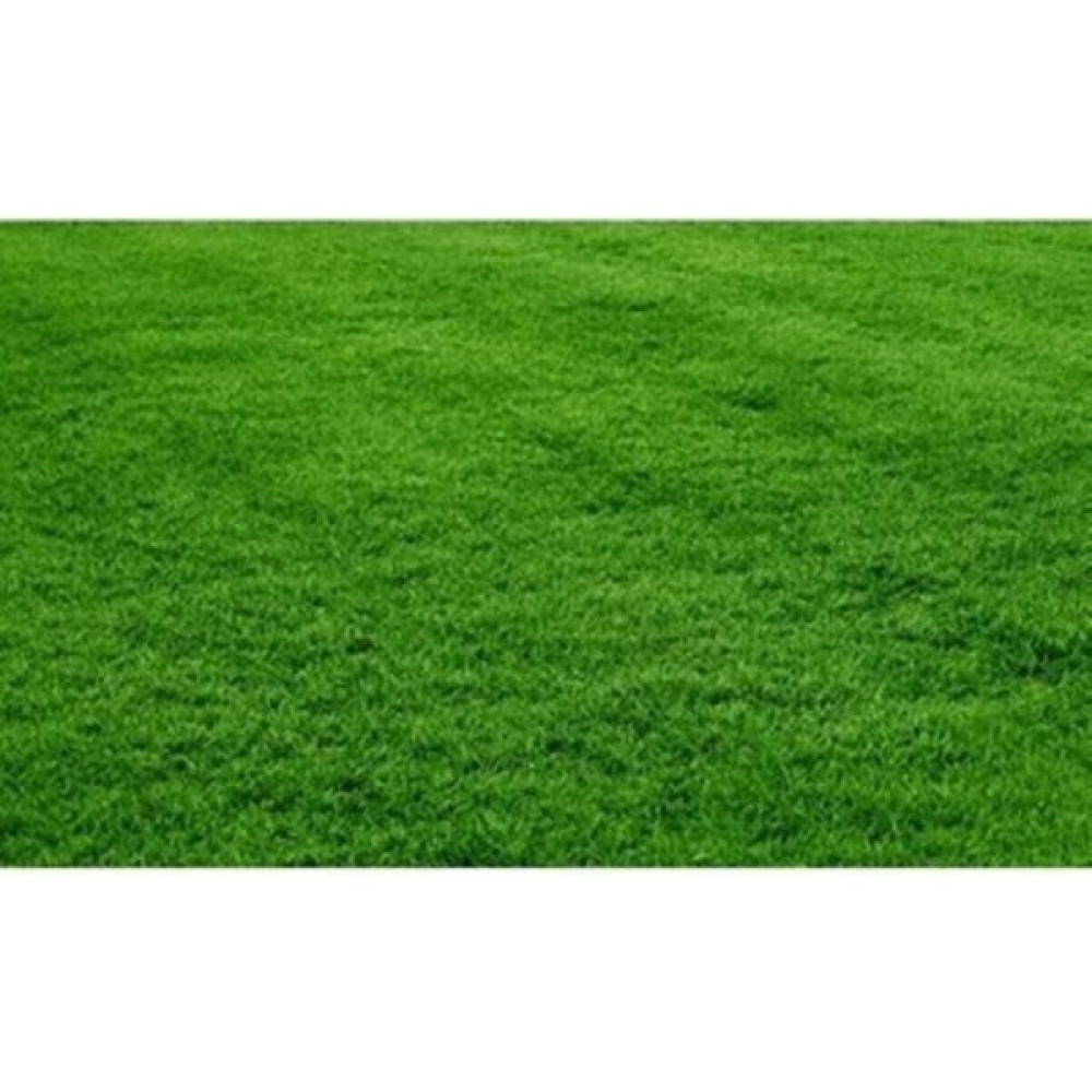 Demirler Bermuda Grass Çimi Tohumu (Kurak ve Susuz Alanlara Özel) 250 gr Gübre Fiyatı