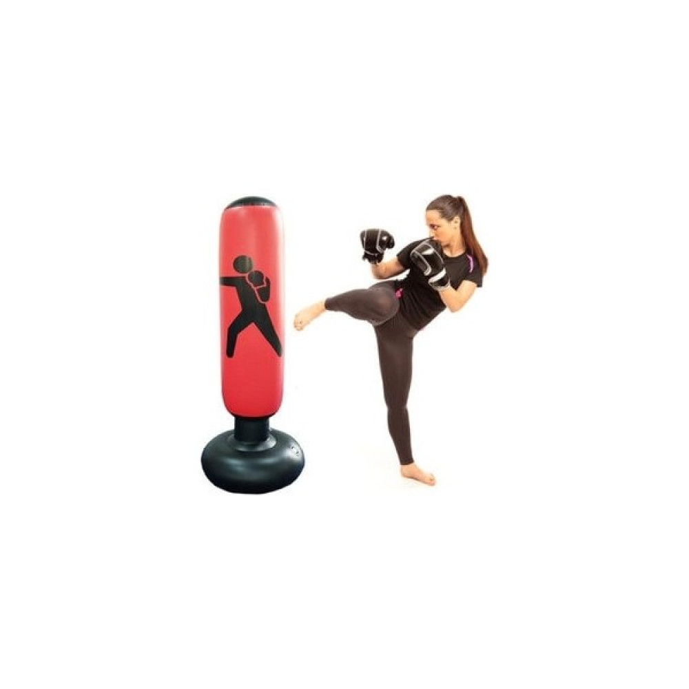 Deni Şişme Boks Standı Oto Boyaları Fiyatı