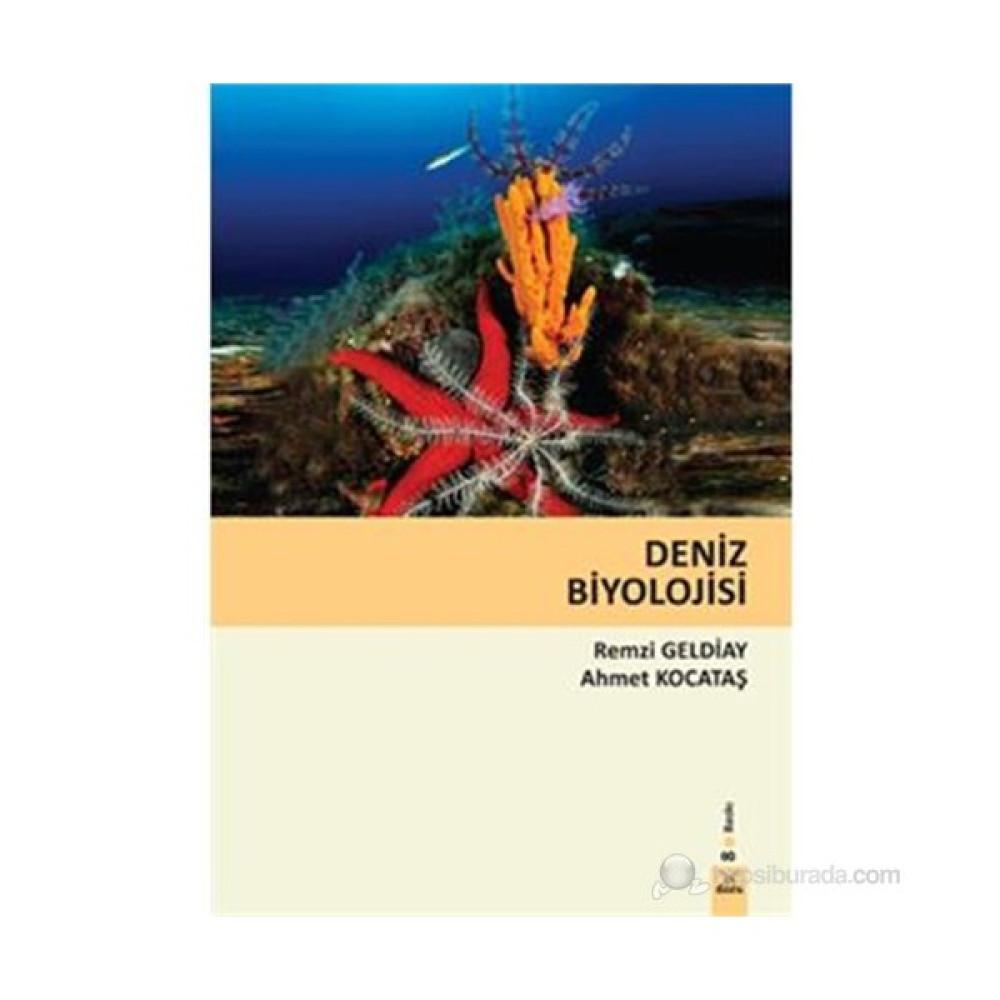 Deniz Biyolojisi İnceleme Kitapları Fiyatı